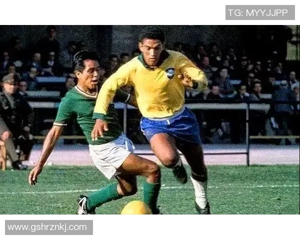 巴西现役足球明星盘点及其在国际赛场上的表现与影响力分析