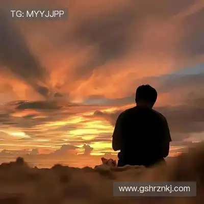 卫昭桥